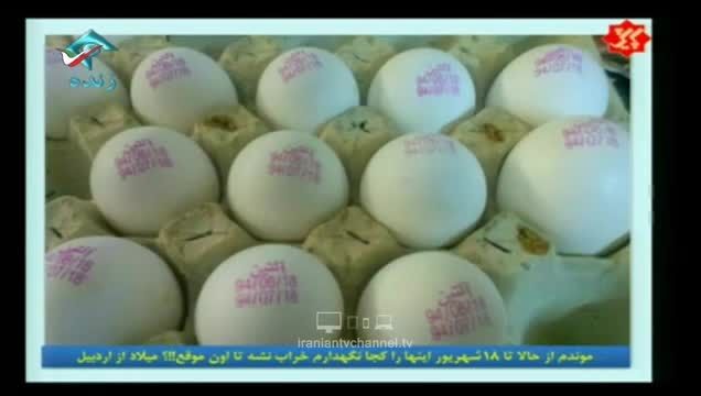 عجیب ترین تصاویر و اتفاقات در ایران