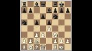 آنالیز یک بازی زیبا شطرنج