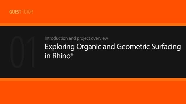 Exploring Organic and Geometric Surfacing in Rhino