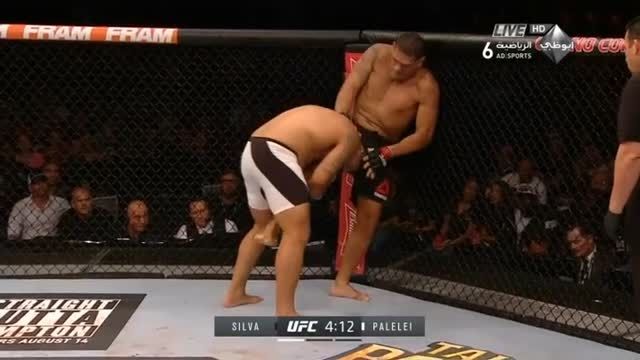 UFC 190 Bigfoot Silva vs Palelei - Round 1