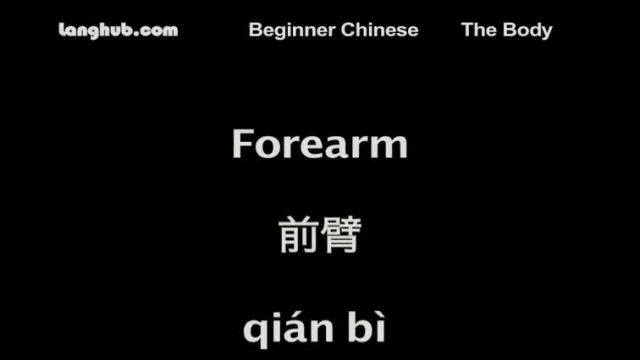 Body - Learn Mandarin Chinese with Langhub