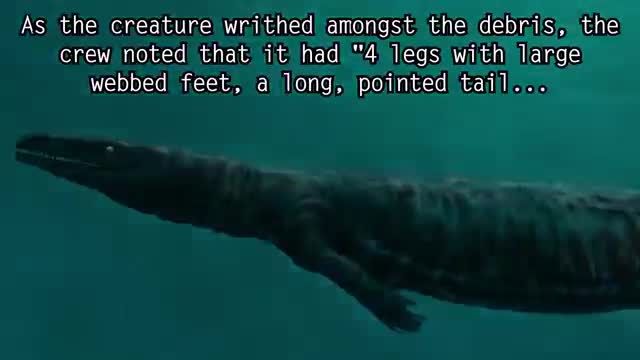 5 هیولای بزرگ پنهان در دریا