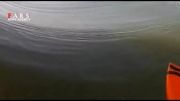 فیلم/ تصاویر دیدنی از امواج خروشان دریا