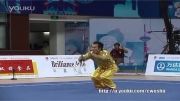 ووشو،مسابقات فینال داخلی چین 2013، جی ین شو ، مقام سوم