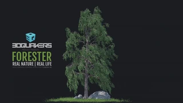 00008-Forester for Cinema 4D coming soon
