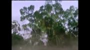 حبیب - آهنگ زیبای کویر باور - از آلبوم کویر باور