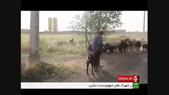 روستایی با زبان ایتالیایی در ایران