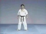 کاراته کیکوشن