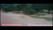 طغیان آب رودخانه ی اسبوکلا