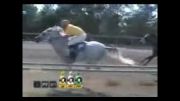 کورس اسب عرب-قهرمانی شارلاتان(شارلی)