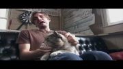 11 روش نگهداری گربه خانگی خنده دار 2014