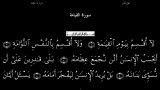 القرآن الکریم - 75 - سورة القیامة - سعد الغامدی