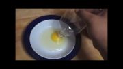 روش جدا کردن زرده ی تخم مرغ از سفیده
