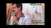 البوم شیدا 5  - با خوانندگی علی گرایلی