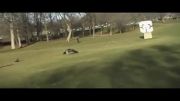 شکار کودک توسط عقاب / یک ویدیوی ساختگی