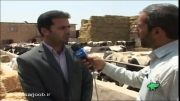 برخوار قطب دامداری در استان اصفهان