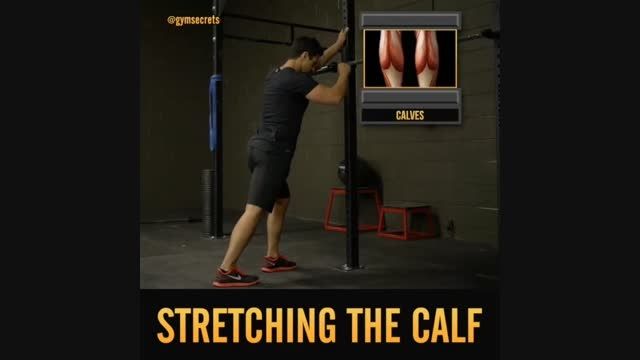 تمرین عضلات ساق پا(organfit.ir)