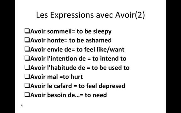 French verb avoir Idiomatic Expressions with avoir