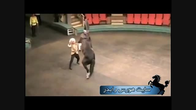 نمایش زیبای اسب ترکمن ( واقعا دیدنیه )
