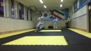 mahdi jamlali - taekwondo kick
