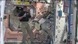 فضانوردان برای شام شکرگذاری چه می خورند