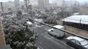 بارش برف در شیراز 92