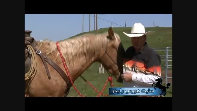 طریقه ی سوار شدن روی زین اسب (زین کابویی)