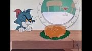 تام و جری - 121 - Calypso Cat (1962-06-01)