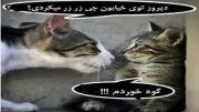 بچه گیر اورده :))