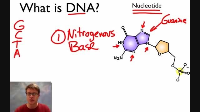 DNA  چیست ؟