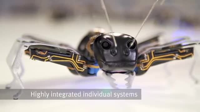 مورچه های رباتیک شرکت فستو - زوم تک