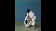 Daki Age - 65 Throws of Kodokan Judo