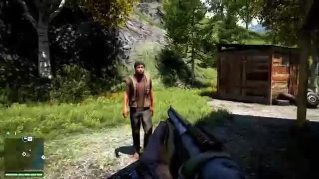 the gaming lemon farcry 4