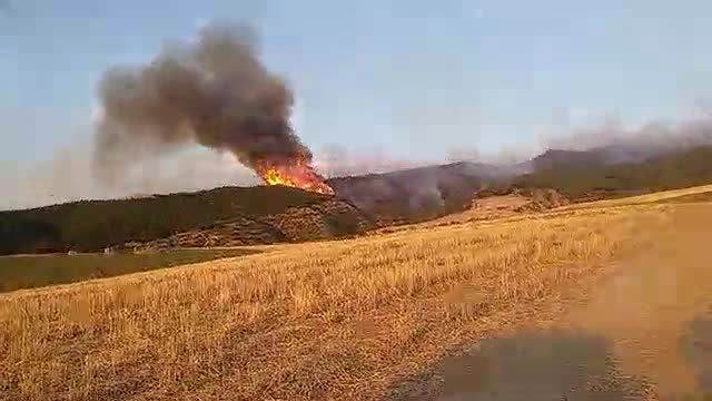 فیلم آتش سوزی جنگل های شهرستان کلاله