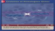 G01- homolog genes