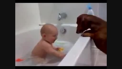 سگ و بچه پر خنده ...