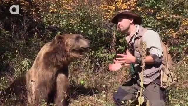 صحنه سازی حمله خرس گریزلی به انسان
