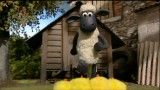 گوسفند زبل پدر جوجه ها قسمت 19 با کیفیت HD