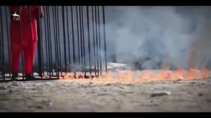 سوزاندن خلبان اردنی کذب است