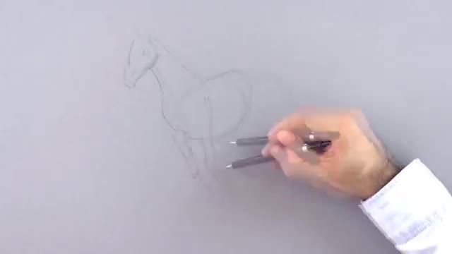نقاشی سک اسب به صورت سه بعدی