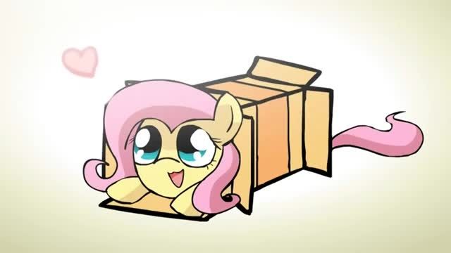 Ponies sliding into a box