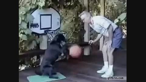 عجب . سگ بسکتبالیست هم ندیده بود که دیدیم
