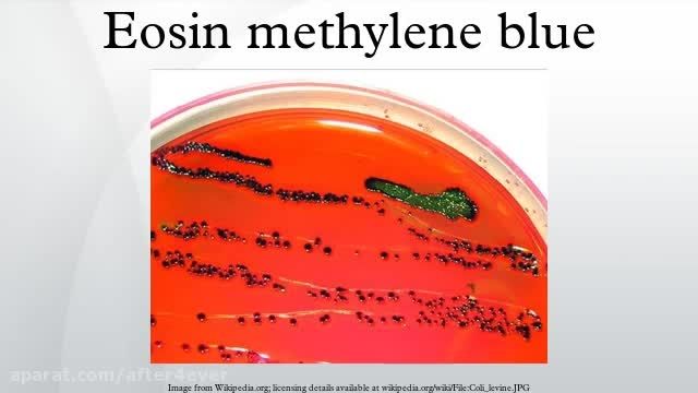 Eosin Methylene Test تست