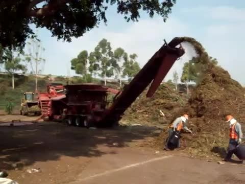 organic palm waste forage