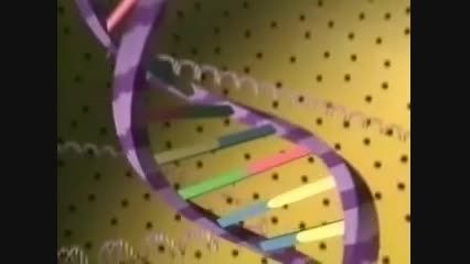 ساختار و عملکرد DNA در سلول
