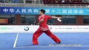 ووشو ، مسابقات داخلی چین فینال دائوشو ، یان یو خون از شانخی