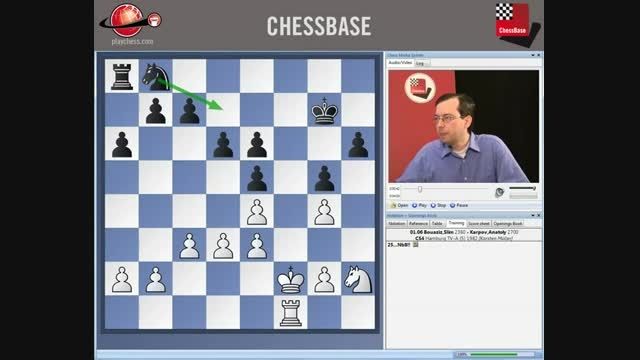 آموزش کامل آخر بازی شطرنج رخ و سوارهای کوچک chessok.ir