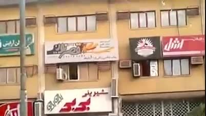 ورود یک کرکس به شهر اهواز