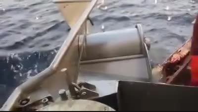ماهیگیری مدرن