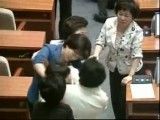 دعوای نمایندگان کره جنوبی در مجلس